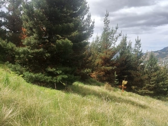 Terreno en Villa Ayelén – Parcela 204, Esquel – foto 2
