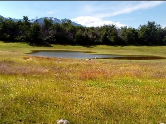 Campo en venta – Ruta 71, Trevelin – foto 2