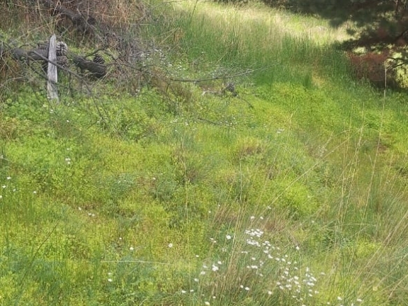 Terreno en Villa Ayelén – Parcela 204, Esquel – foto 3