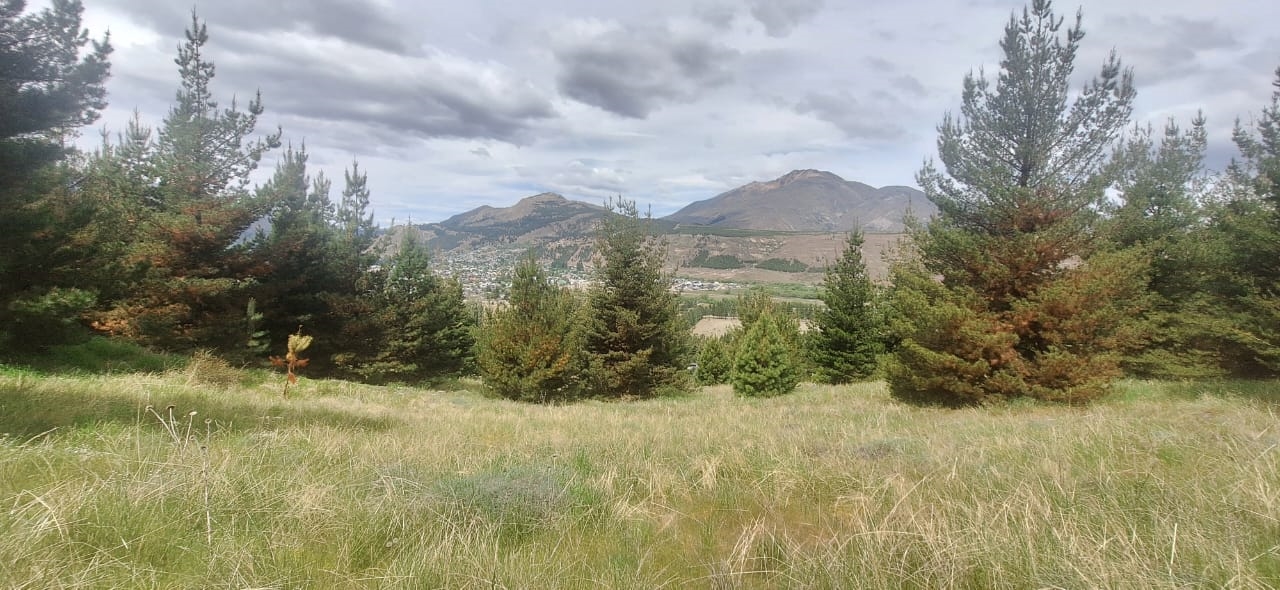 Terreno en Villa Ayelén – Parcela 204, Esquel – foto 4 Terreno en Villa Ayelén – Parcela 204, Esquel – foto 4