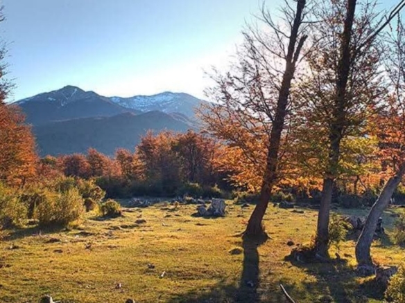 Campo en venta – Ruta 71, Trevelin – foto 5