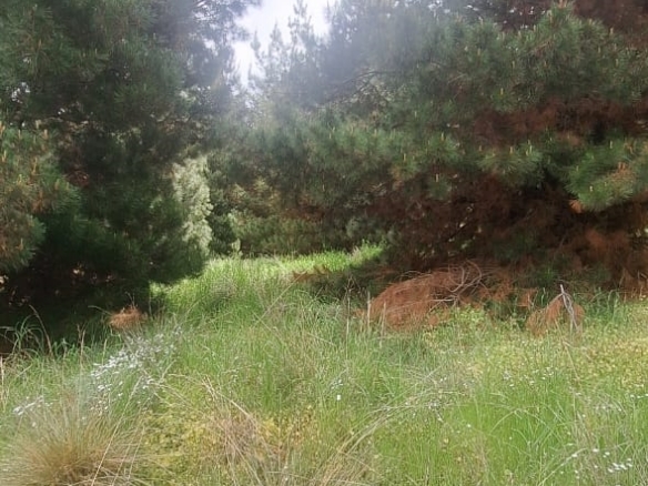 Terreno en Villa Ayelén – Parcela 204, Esquel – foto 6